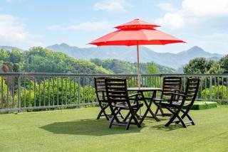 White House in Forest - 1