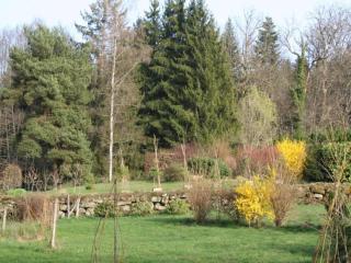 Holiday Home in La Chapelle with Garden, cleaning included - La Chapelle-aux-Bois - 9