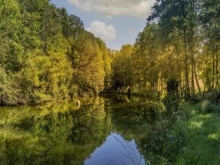 Holiday Home in La Chapelle with Garden, cleaning included - La Chapelle-aux-Bois - 3