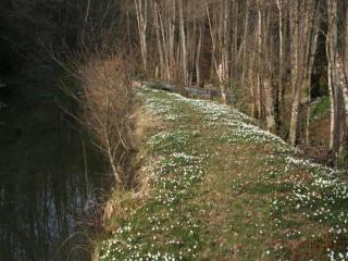 Holiday Home in La Chapelle with Garden, cleaning included - La Chapelle-aux-Bois - 1