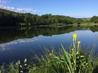 Holiday Home in Limousin near Forest, cleaning included - 1
