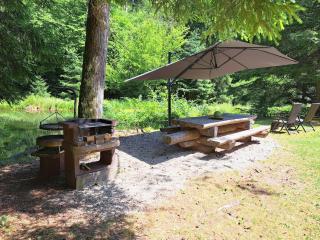 Apartment in Alsace with Nature Retreat - Dabo - 1
