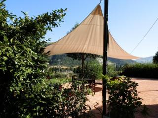 Apartment in Modigliana with swimming pool - Modigliana - 1