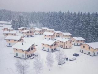 Holiday apartment in St Englmar - Sankt Englmar - 1