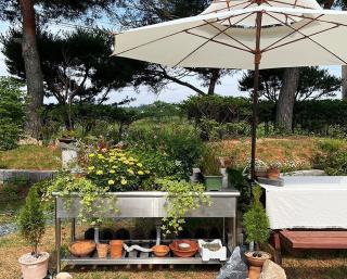 Yeongam Yeonhi Hanok Pension - 2