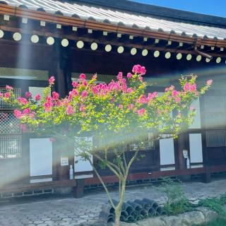 Yeongam Yeonhi Hanok Pension - 1