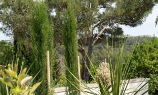 Mas Les Murmures - Les Baux-de-Provence - 1