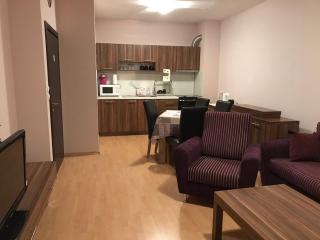 Dream experience in luxury SPA resort in Velingrad - Velingrad - 8