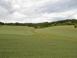 Holiday Home in Puygareau near Poitiers, cleaning included - - 9