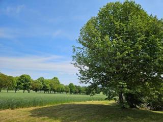 Holiday Home in Puygareau near Poitiers, cleaning included - - 4