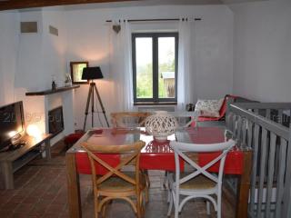 Gîte charmant près de Tours, jardin clos, idéal pour familles - FR-1-381-95 - 3