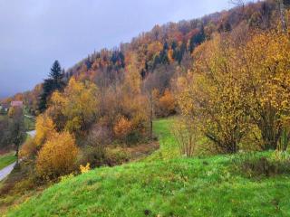 Holiday Home in Vosges with Garden and BBQ, cleaning included - Le Haut-du-Them - 2