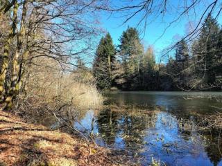 Holiday Home in Vosges with Garden and BBQ, cleaning included - Le Haut-du-Them - 1