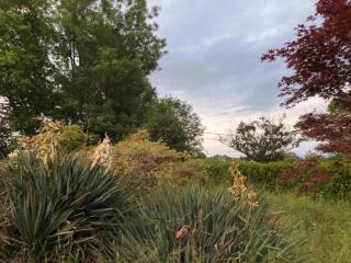 Holiday Home in Luzy with Fenced Garden, cleaning included - Cuzy - 4