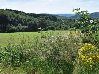 Holiday Home in Luzy with Fenced Garden, cleaning included - 3