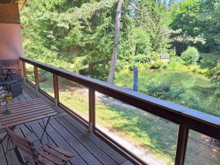 Apartment in Alsace with Private Terrace - Dabo - 2