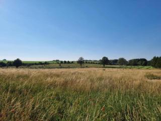 Holiday Home in Chimay near Rance Forest, cleaning included - - 4