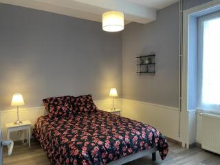 Maison de campagne rénovée avec terrasse et jardin - FR-1-489-363 - 2