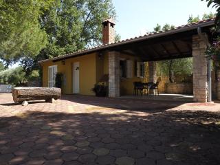 Sunny Holiday Home - 7