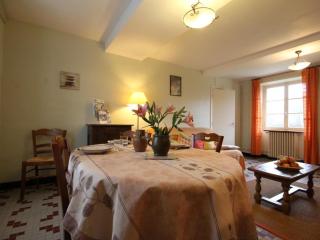 Charmante maison XIXe avec jardin, Wifi et baptêmes de l'air à proximité - FR-1-497-32 - Vrigny - 7