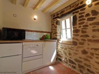 Maison historique arborée avec jardin et étang privés, idéale pour un couple - FR-1-497-135 - 5
