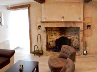 Maison restaurée avec étang, cheminée, grand jardin, proche forêt, idéale pour familles! - FR-1-497-92 - Le Cercueil - 1