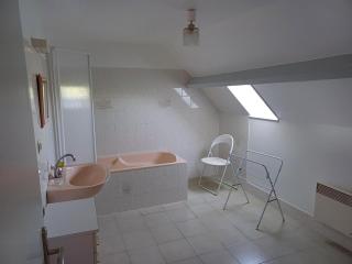 Maison cosy proche de Blois avec cheminée, cour fermée, animaux acceptés et activités variées à proximité - FR-1-491-351 - Chailles - 3
