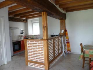 Gîte familial au cœur des Châteaux de la Loire avec jardin clos, barbecue et Wi-Fi inclus - FR-1-491-407 - 4