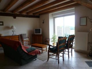 Gîte familial au cœur des Châteaux de la Loire avec jardin clos, barbecue et Wi-Fi inclus - FR-1-491-407 - Cour-Cheverny - 2