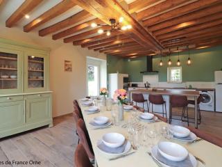 Ancien manoir du Perche avec babyfoot et terrasse - FR-1-497-243 - 6