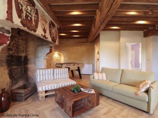 Maison de charme avec babyfoot et jardin au cœur du Perche - FR-1-497-243 - La Mesniere - 1