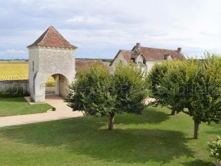 Maison de charme avec jardin clos près des vignobles - FR-1-381-262 - 7