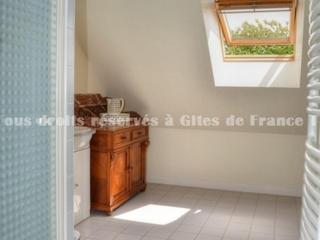 Gîte de charme avec jardin, proche Chenonceau et Beauval - FR-1-381-303 - 7