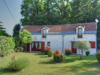 Charmante maison proche de Tours, châteaux et vignobles, grand jardin, équipements modernes, WiFi. - FR-1-381-220 - 2