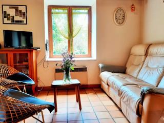 Gîte chaleureux à Sauvain avec jardins, activités familiales et spa en option - FR-1-496-94 - Sauvain - 2