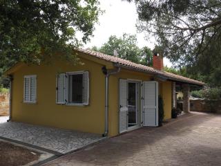 Sunny Holiday Home - 6