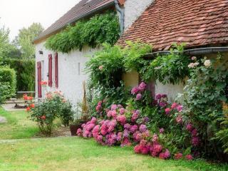 Maison rénovée à Franchesse avec grand jardin et animaux admis - FR-1-489-221 - Franchesse - 0