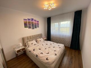 Sunshine Palais Brasov - Sînpetru - 6