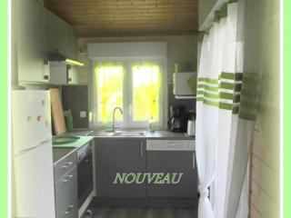 Charmants chalets au bord du lac avec terrasse, activités nautiques et pêche, animaux acceptés, tout inclus - FR-1-489-361 - Pierrefitte-sur-Loire - 4