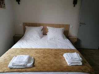 Charme Authentique à Theneuille, Tout Inclus - FR-1-489-571 - 2