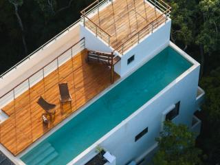 Luxury Jungle Retreat, Sleeps 10, Rooftop Pool - Tulum - 0