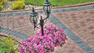 Apartamenty u Piekorza - 3
