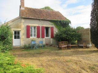 Charmant cottage rénové avec jardin privé, cheminée, proche forêt, commerces et loisirs - FR-1-489-377 - Lurcy-Lévis - 1