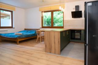 KANIA Apartamenty - Zakopane - 9