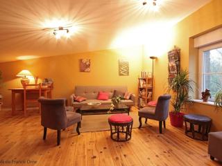 Grande maison familiale avec jardin et animaux acceptés près de la voie verte - FR-1-497-132 - 5