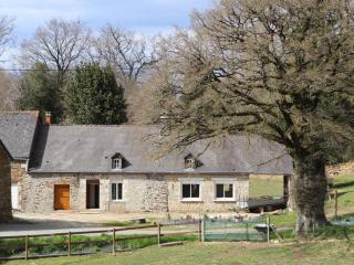 Gîte charmant à la campagne avec jardin, terrasse et animaux, près de Bagnoles de l'Orne - FR-1-497-145 - La Chapelle d'Audaine - 0