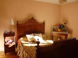 Maison en pierres rénovée avec patio, proche Vichy, 3 chambres, BBQ, TV, Wifi, animaux bienvenus. - FR-1-489-191 - Ferrières-sur-Sichon - 2