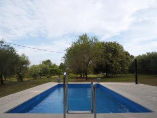 Sunny Holiday Home - 8