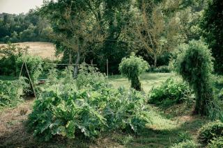 Traditional Apartment In The Heart Of Umbria - Poggio Aquilone - 3