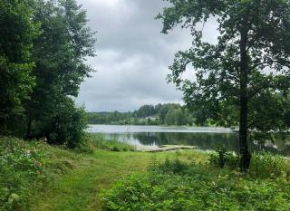 Cozy Cottage By Töcksfors Lakes - 4